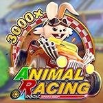 ANIMAL RACING